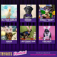 Illustration for article titled Cadbury announces this year’s Bunny Tryouts finalists, snubs my cat